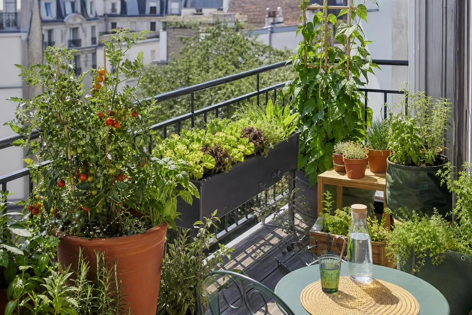 découvrez nos conseils pratiques pour aménager votre extérieur et cultiver vos propres légumes facilement et efficacement.